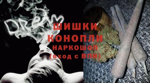 спиды Горно-Алтайск