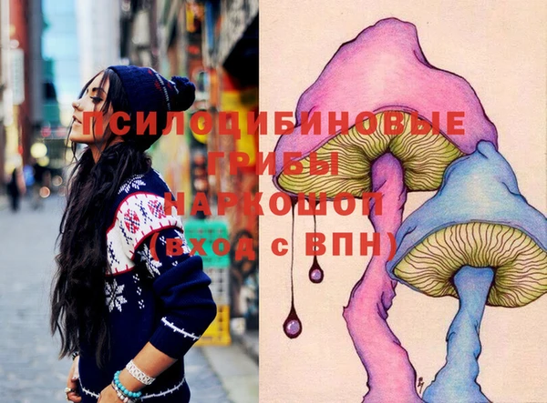 spice Горняк