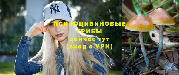 спиды Горно-Алтайск