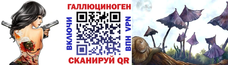blacksprut онион  Нестеровская  Галлюциногенные грибы Psilocybe  закладки 
